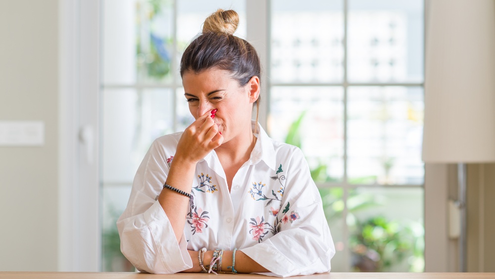 Жителей Йошкар-Олы одолели неприятные запахи в городе