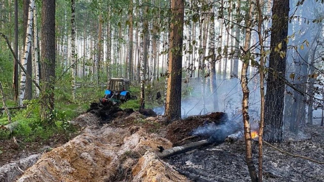 В лесах Марий Эл III класс пожарной опасности
