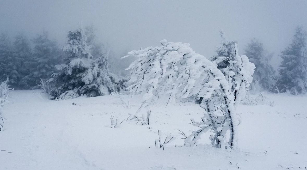 Синоптики предупреждают об ухудшении погоды в последний день года