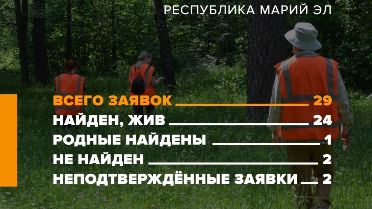 В мае отряд «ЛизаАлерт» Марий Эл нашёл живыми 24 пропавших