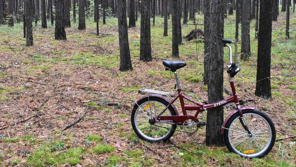 В Горномарийском районе спасатели вывели из леса заблудившуюся женщину