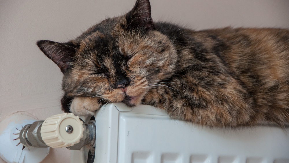 Когда в Йошкар-Оле включат отопление