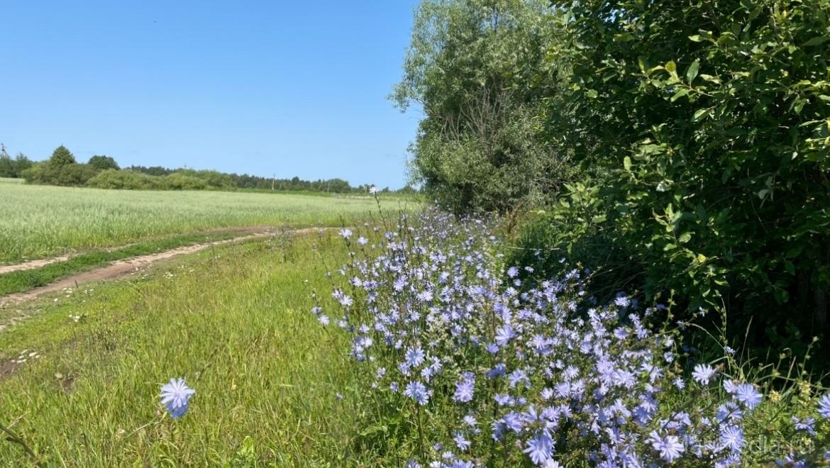 В Марий Эл в выходные будет солнечно, но прохладно