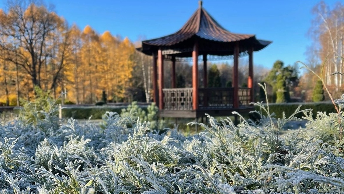 Ночью в Марий Эл местами ожидаются заморозки