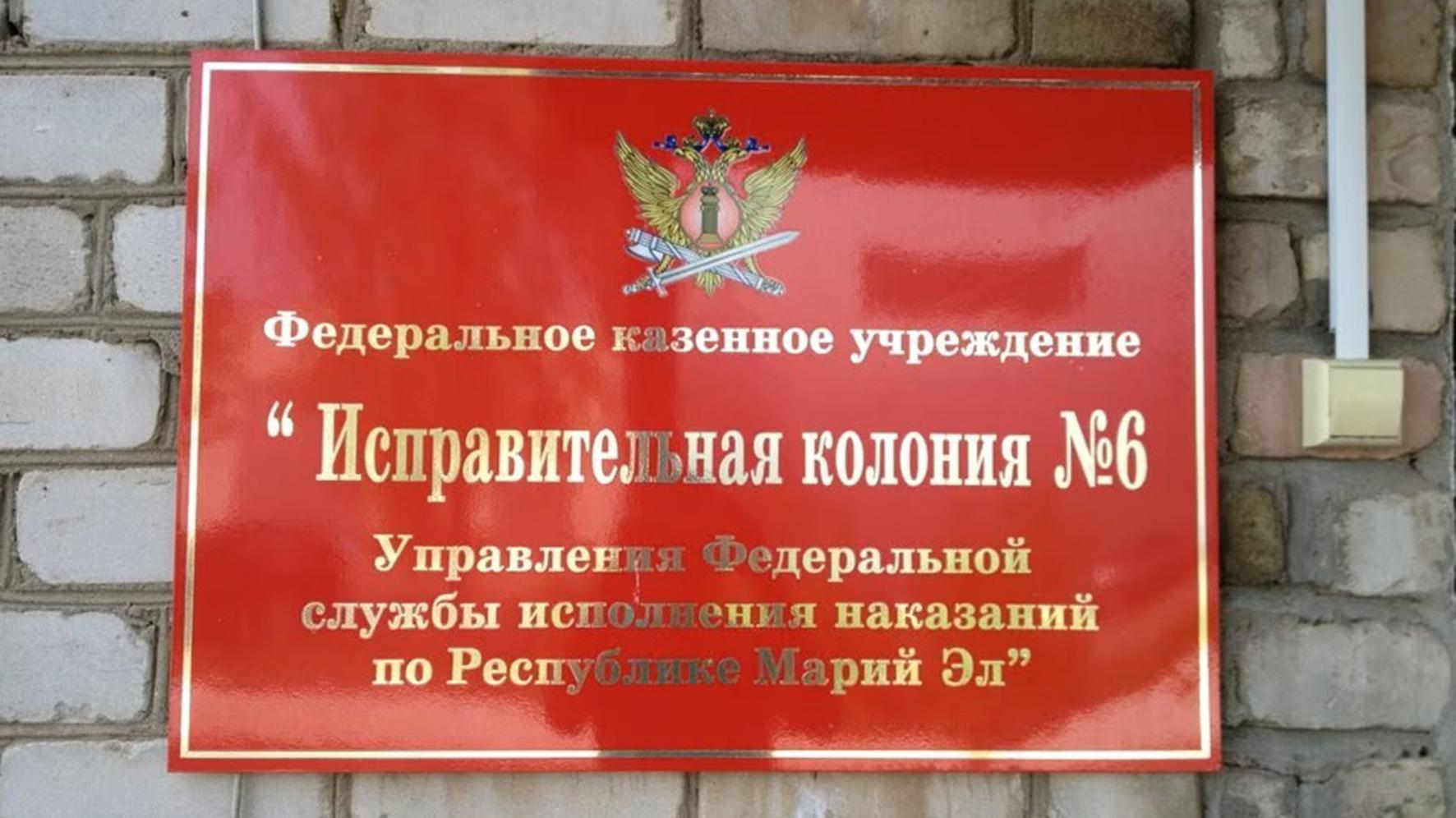 В Марий Эл мать попыталась пронести сыну в колонию сотовый телефон