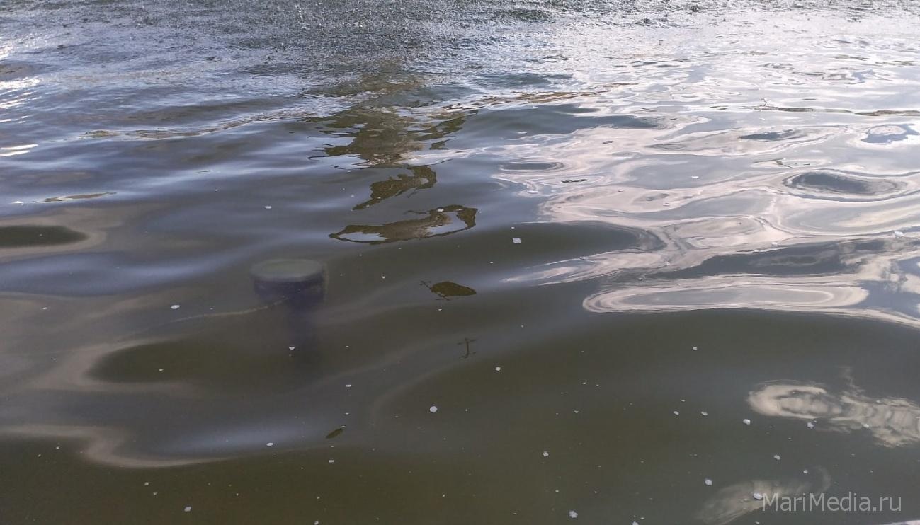 В Моркинском районе утонул 12-летний мальчик