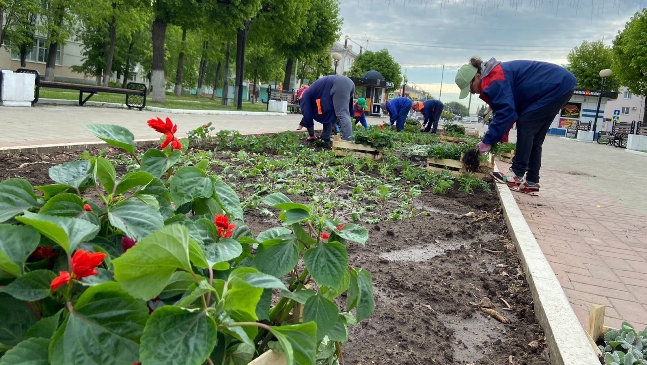 На клумбах Йошкар-Олы новинкой в этом сезоне станет львиный зев сиреневого и салатового цвета