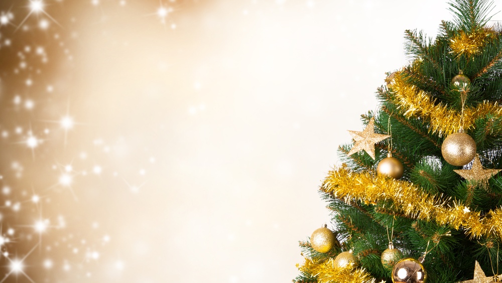 Мэрия Йошкар-Олы закупает искусственные ели