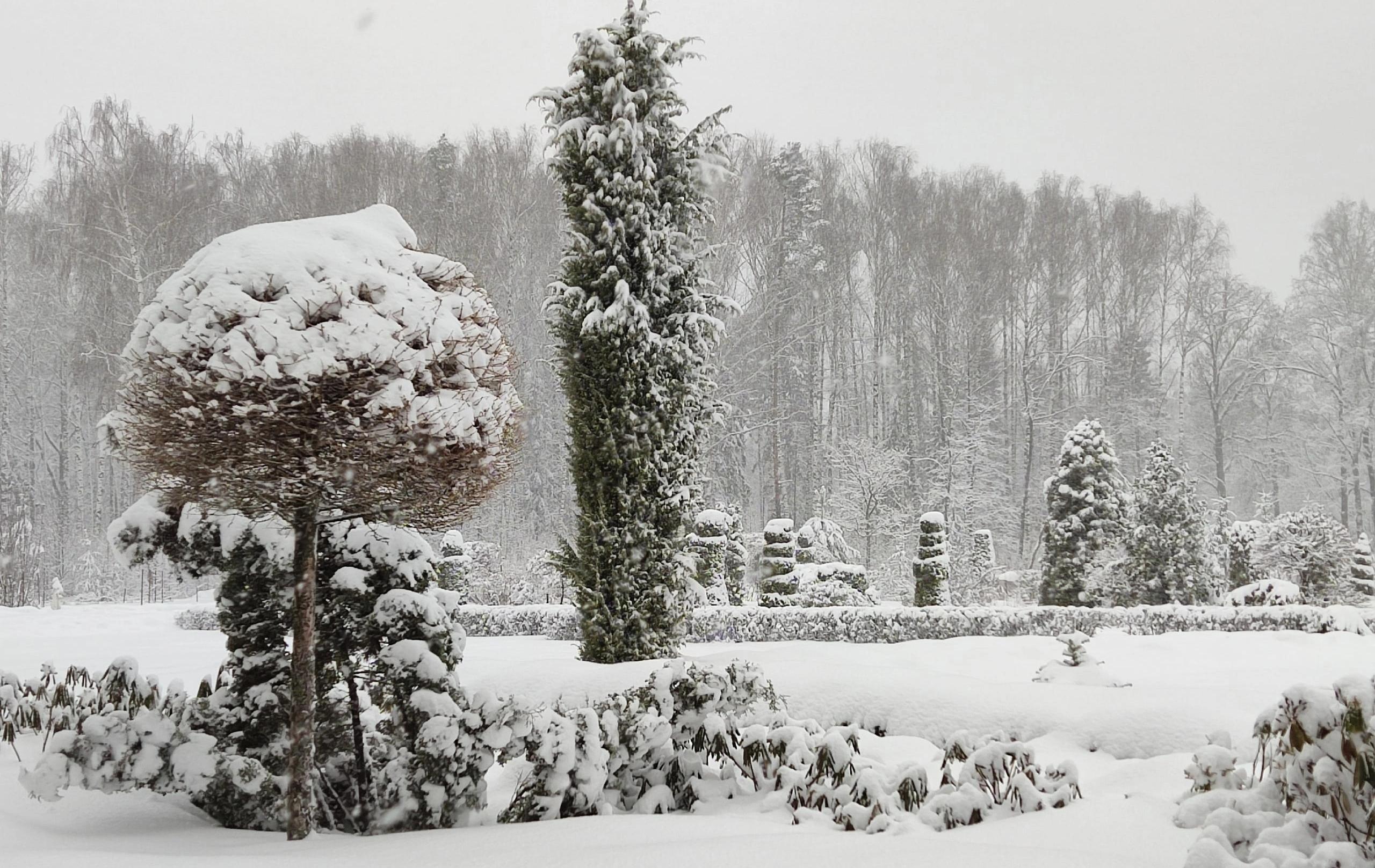 Ботсад Йошкар-Олы получил федеральный статус