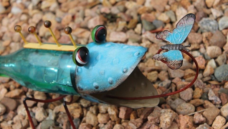 Заповедник «Большая Кокшага» проведёт масштабный республиканский семинар для учителей