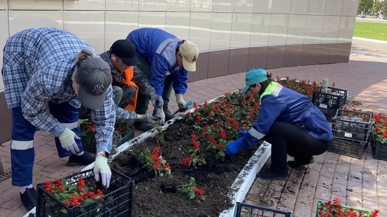 На памятных местах в Йошкар-Оле высаживают цветы