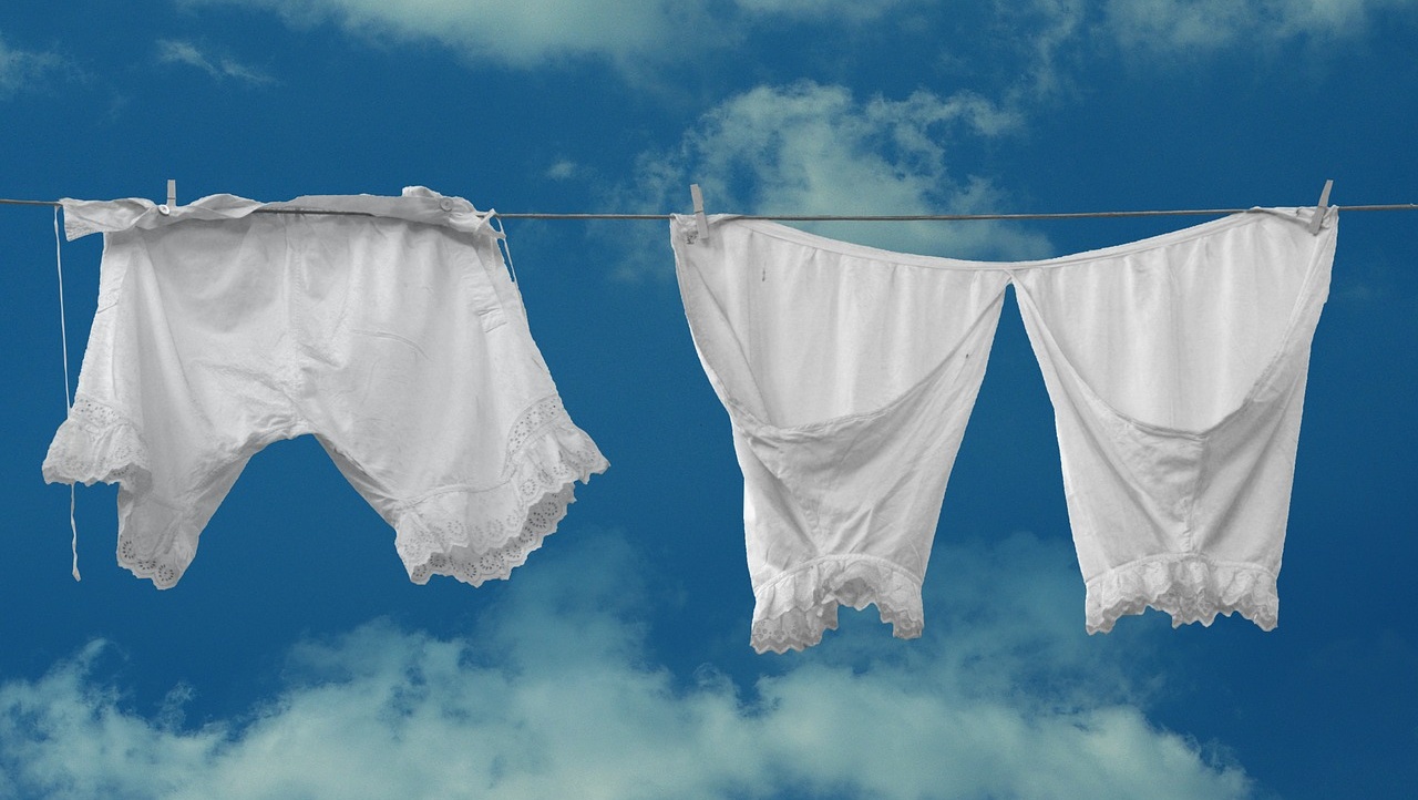 Полицейские задержали серийного вора, который крал нижнее бельё