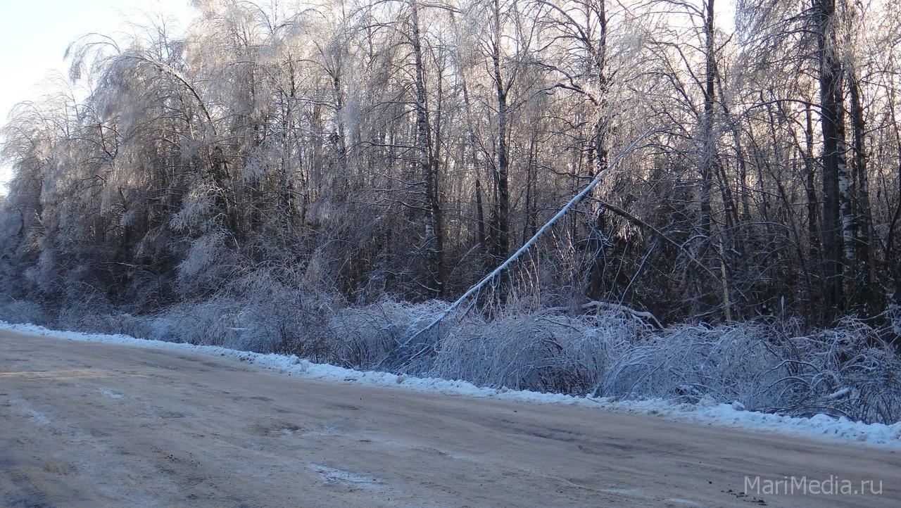 Сегодня в Марий Эл загородные трассы будут перекрывать дважды