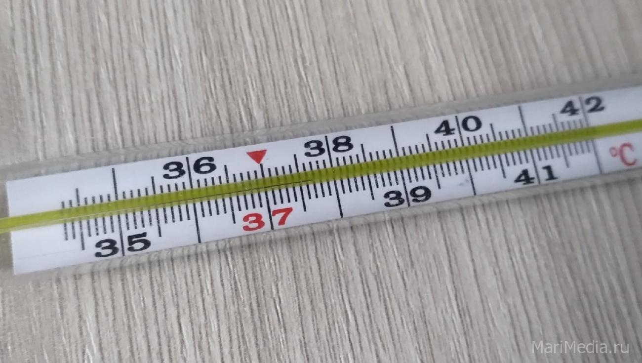 В Марий Эл с начала эпидсезона более 1 100 человек переболели гриппом