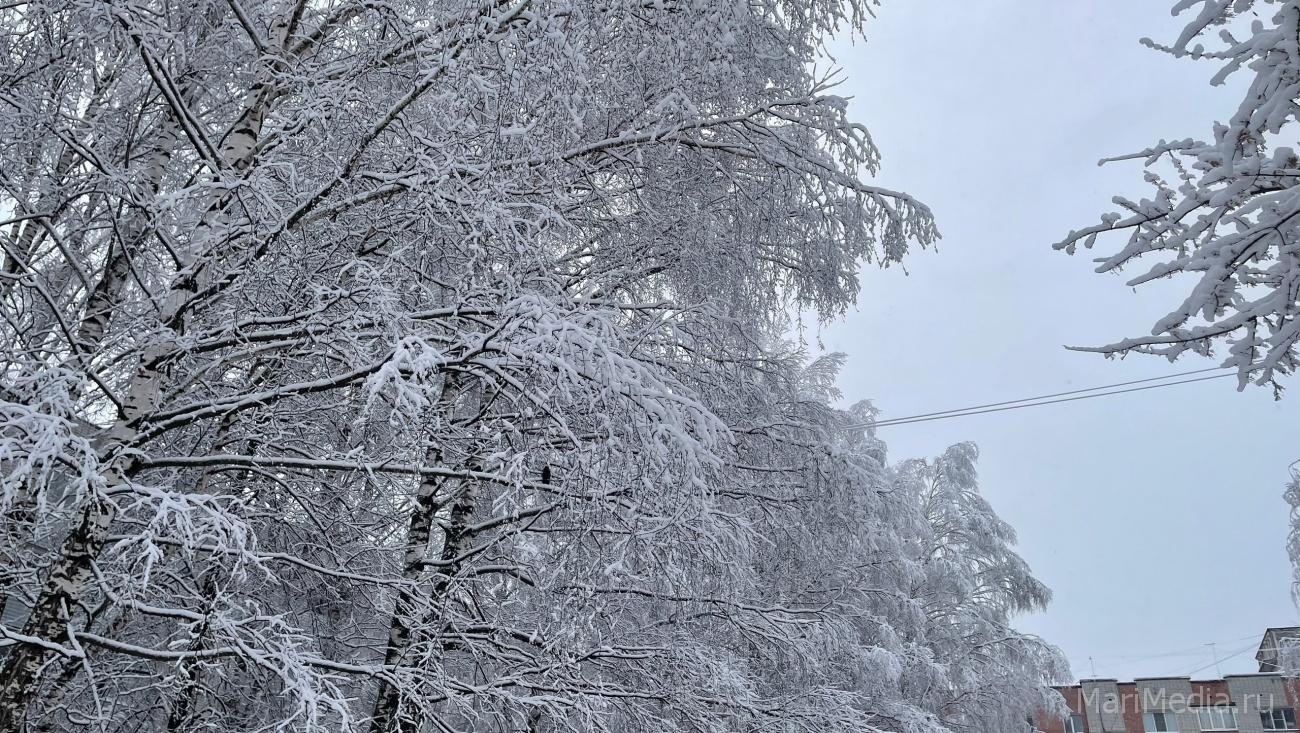 В Марий Эл в ближайшие дни обещают мокрый снег и морось