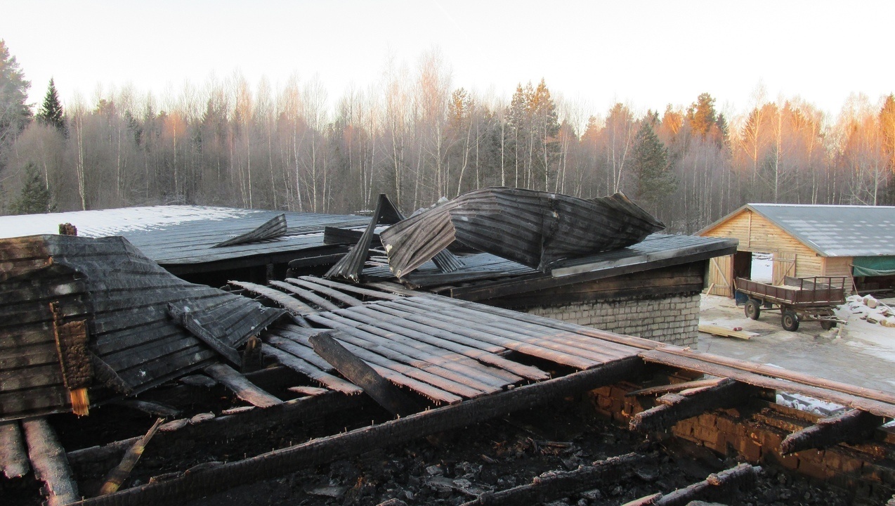 В Куженере огонь повредил крышу столярного цеха