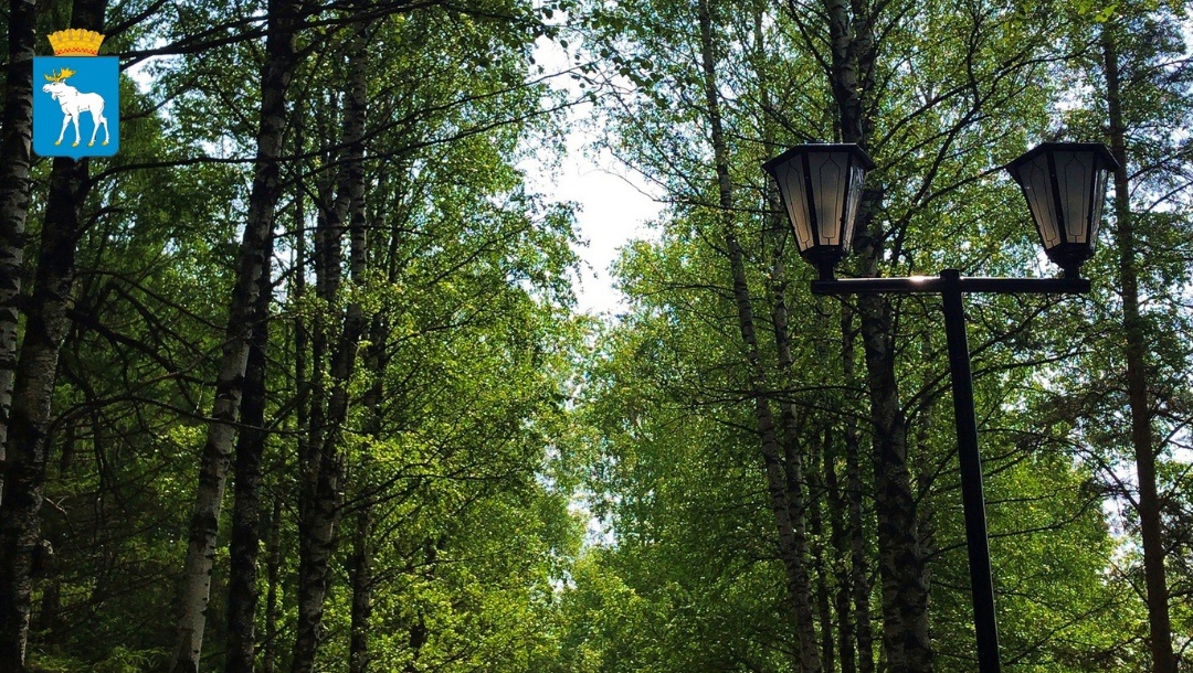 Освещение на Аллее здоровья восстановят к концу недели