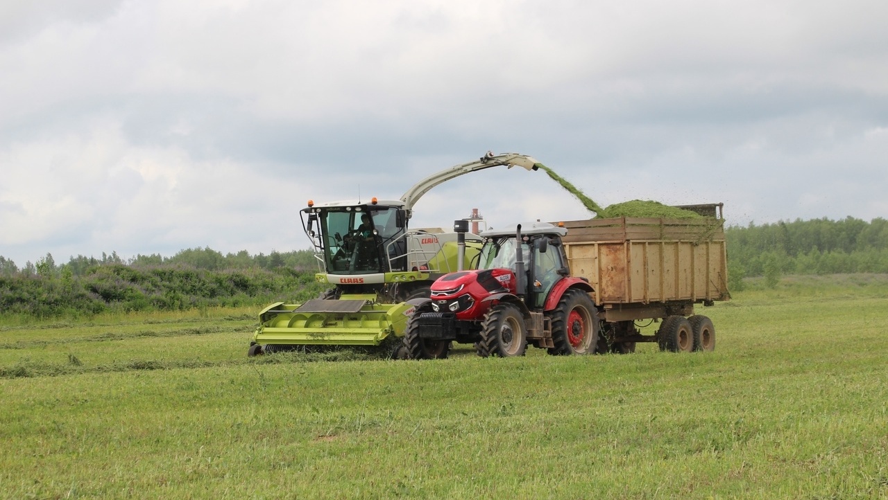 В Марий Эл уборочная страда началась на неделю раньше