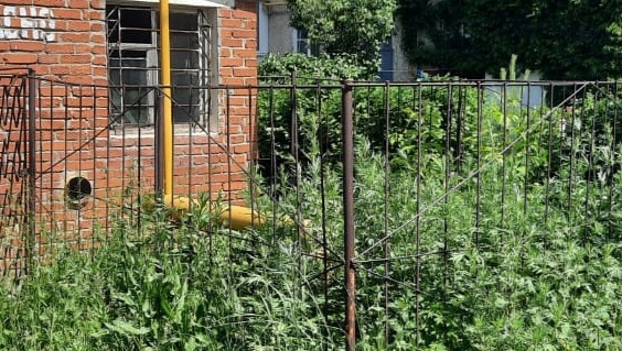 Заммэра Йошкар-Олы в ходе рейда выявила нарушения Правил благоустройства