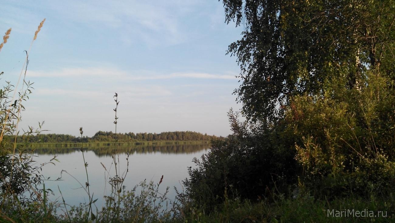 В Советском районе из пруда достали тело утопленника