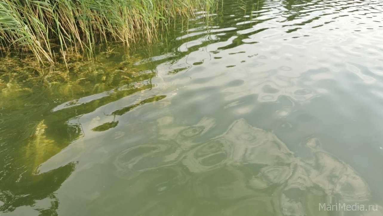 В Килемарском районе из реки вытащили тело мужчины