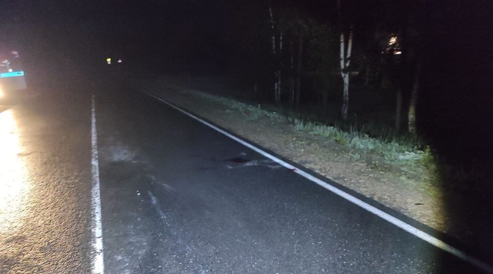 В Килемарском районе неустановленный водитель сбил человека и скрылся