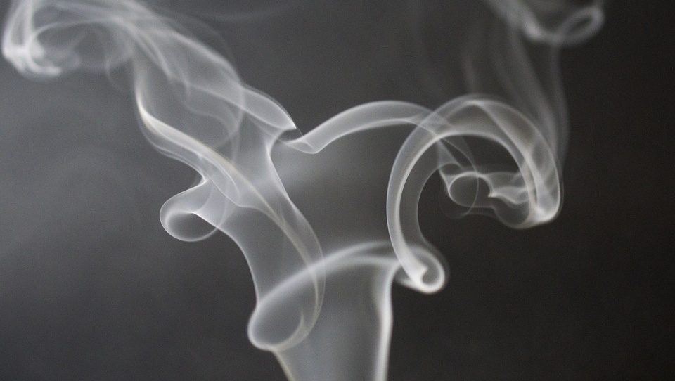 Молодежный парламент Марий Эл высказался против вейпинга