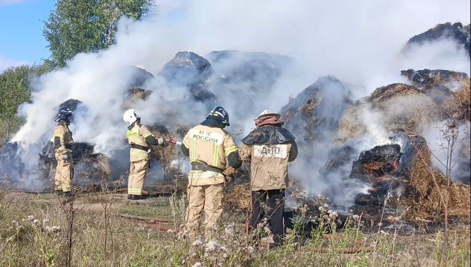 В Марий Эл за неделю пожарные спасли с мест возгораний двух человек