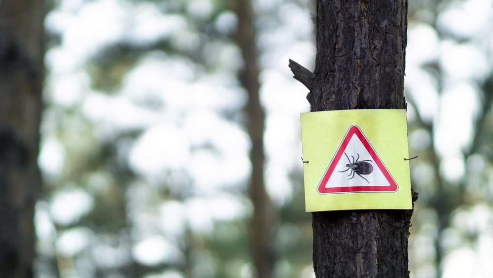 Жители семи муниципальных районов пострадали от укусов клещей