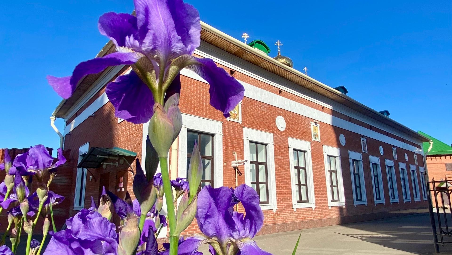 На православной встрече в Йошкар-Оле расскажут о христианских мотивах в кино