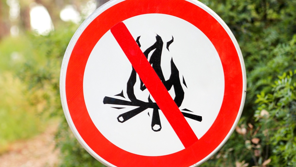 В Сосновой и Дубовой рощах запрещено разводить костры до 31 мая