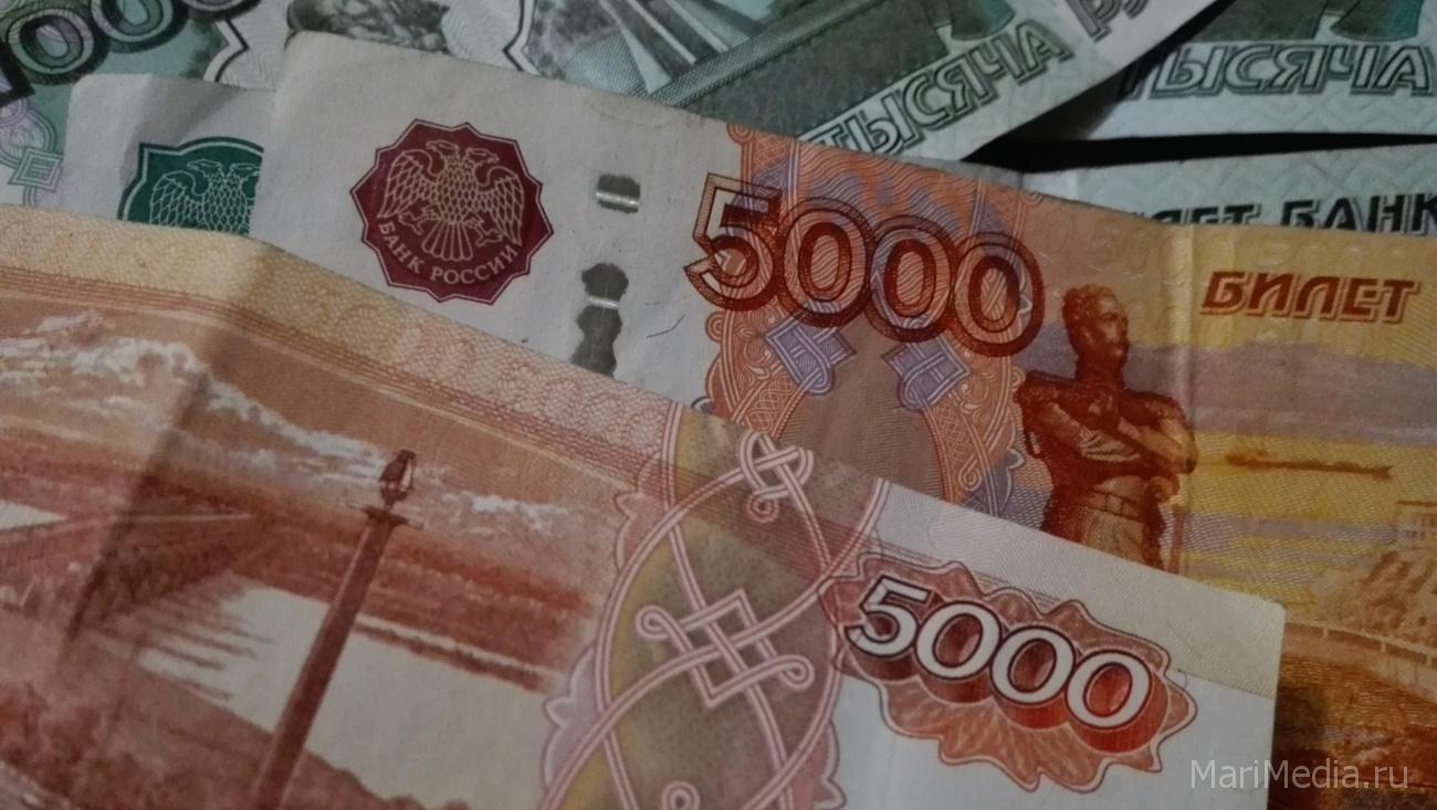 В Марий Эл за месяц долги по зарплате выросли на четверть миллиона