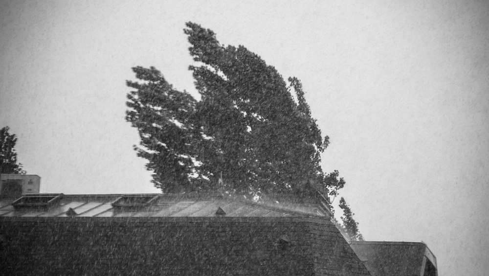 В Марий Эл энергетики готовятся к грозе и сильному ветру