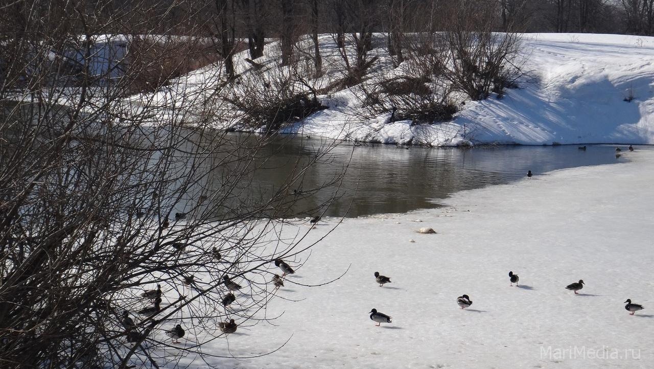 На восстановление «живого» русла Малой Кокшаги потребуется больше 43 млн рублей