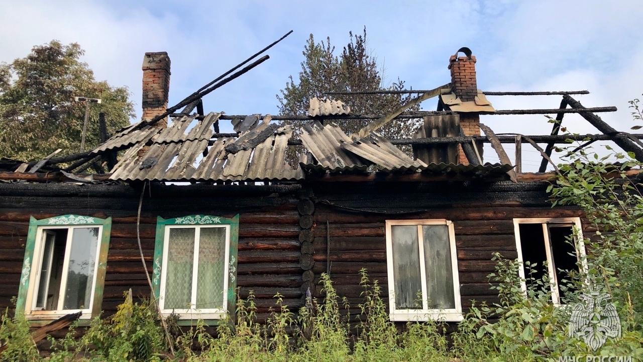 В деревне Озерки женщина с сыном на пожаре получили сильные ожоги