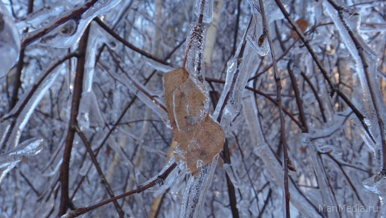 В Волжском районе непогода оставила без света восемь населённых пунктов