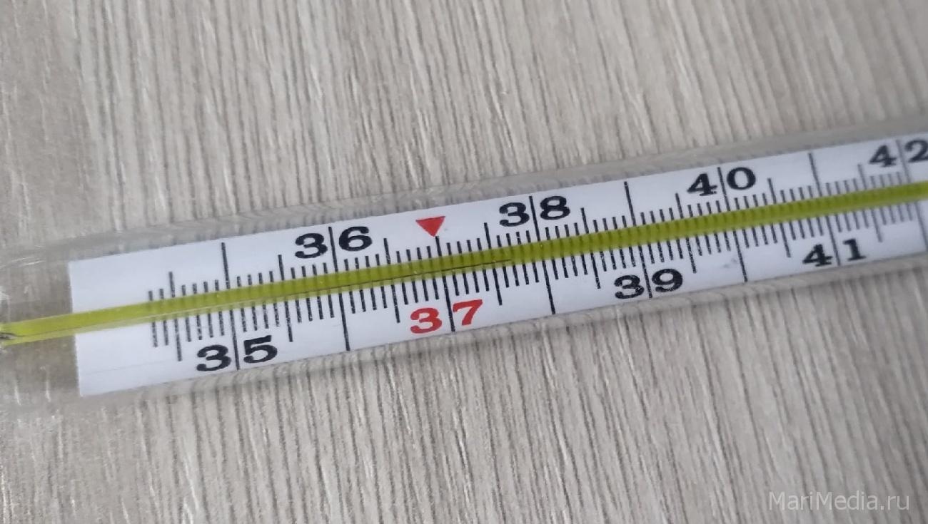 В Марий Эл заболеваемость ОРВИ снизилась незначительно