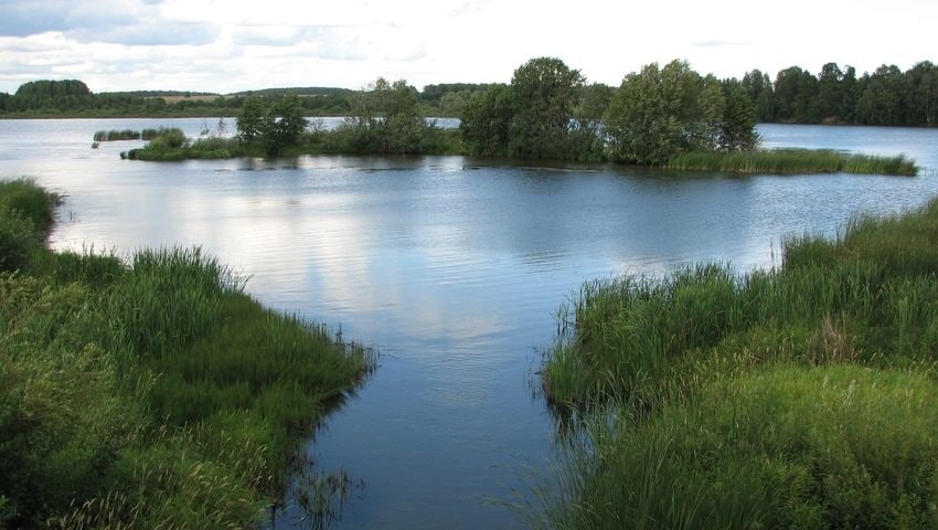 В Марий Эл завершили первый этап расчистки реки Ошла
