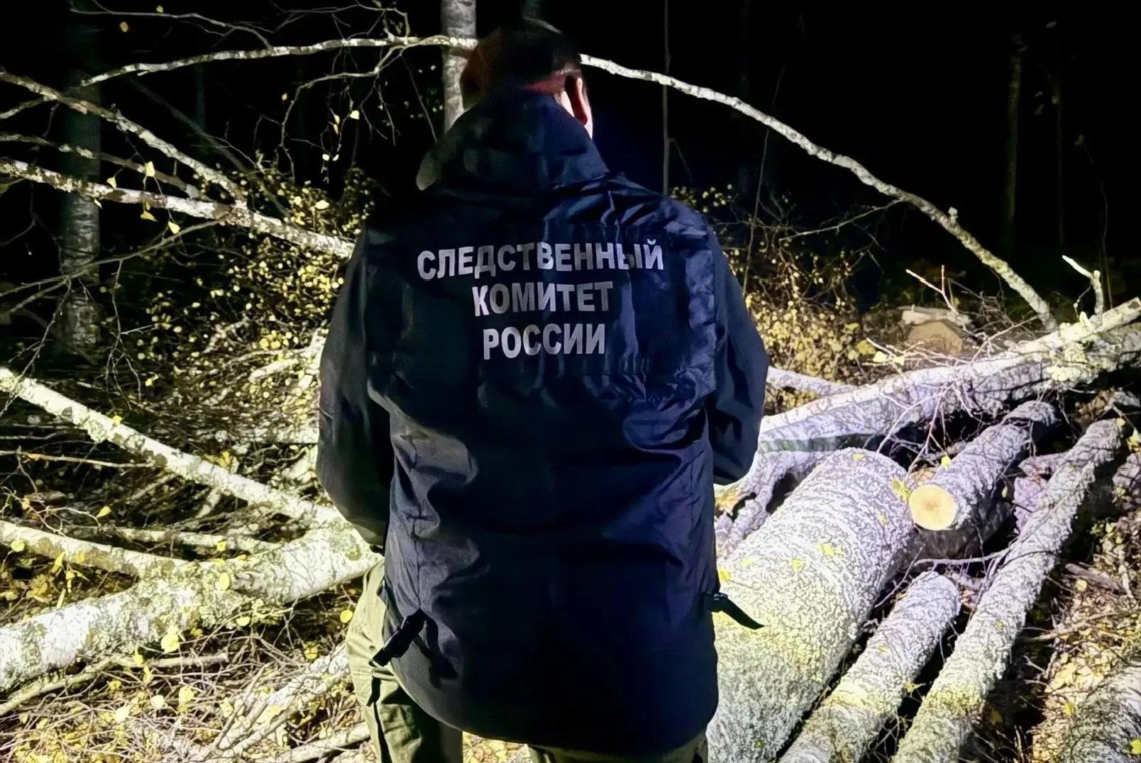 В Марий Эл началась проверка по факту гибели мужчины в лесу