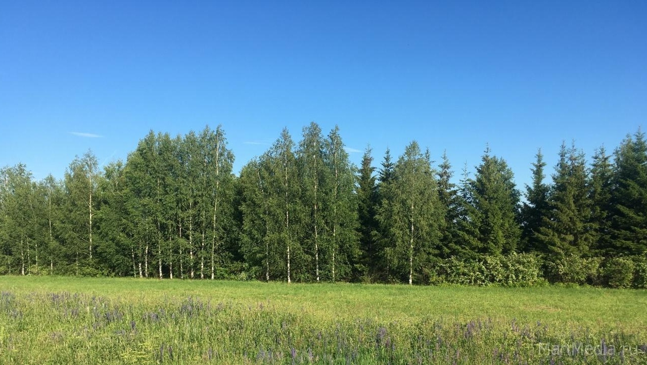 В Марий Эл продлён противопожарный режим ещё в двух районах