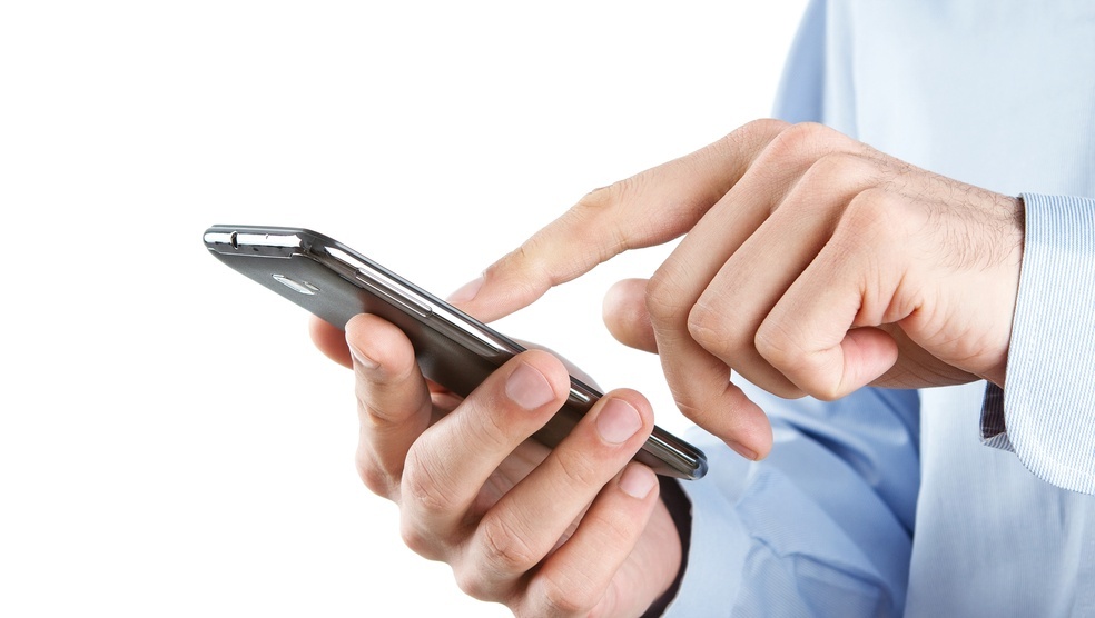 Кадастровая палата Марий Эл проведёт горячую линию