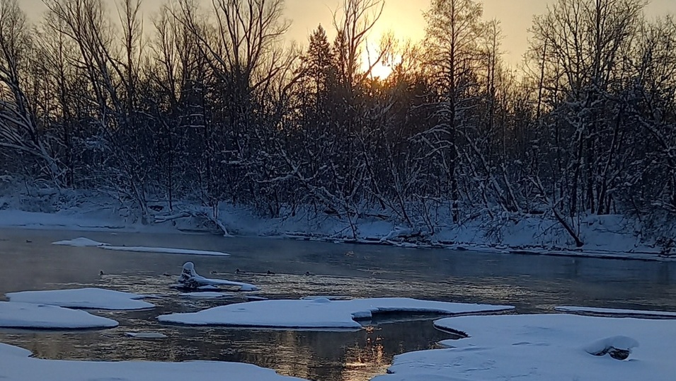 В Марий Эл «закипела» Илеть