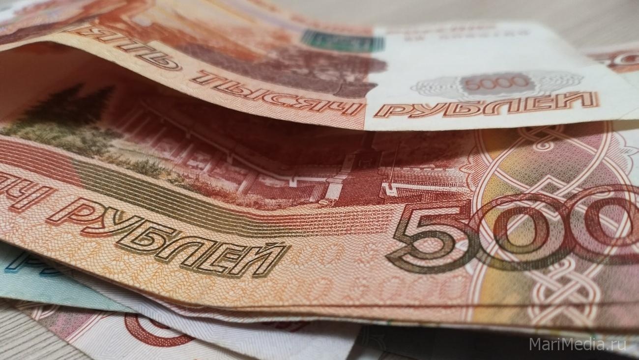 В Марий Эл задолженность по зарплате увеличилась за месяц на 2,5 млн рублей