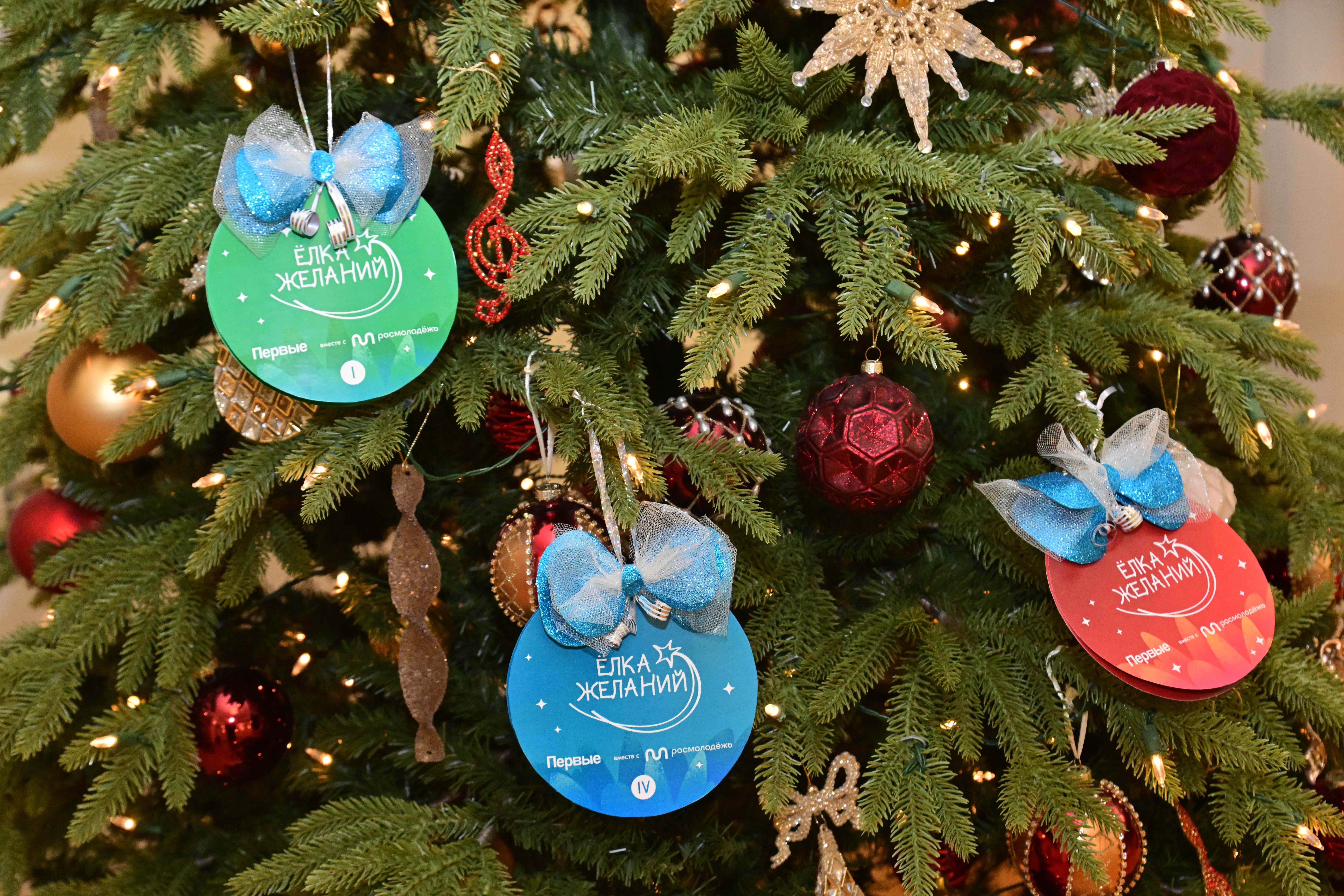 Юрий Зайцев в Кремле принял участие в акции «Ёлка желаний»