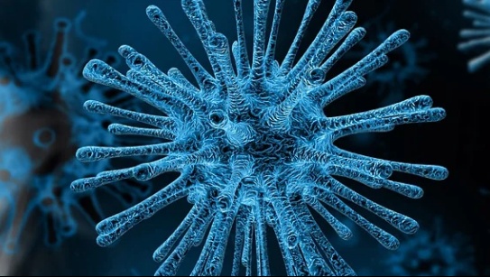 Обновлённая статистика COVID-19 в Марий Эл