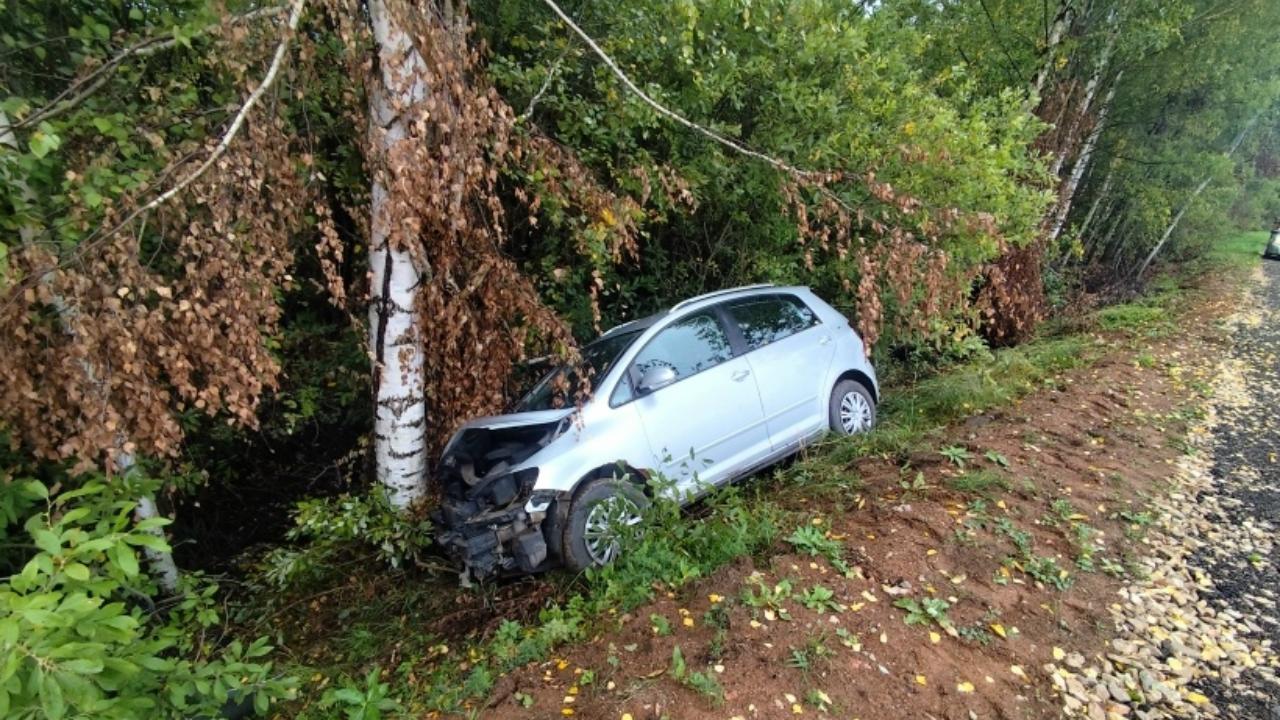 В Советском районе иномарка врезалась в дерево – водитель госпитализирована  