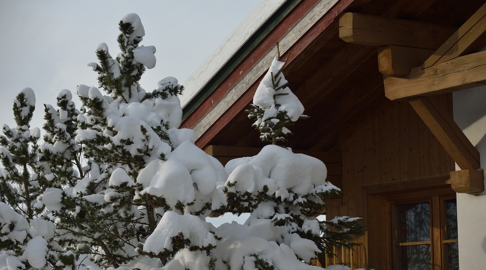 С садового участка в Йошкар-Оле вынесли казан и лопату