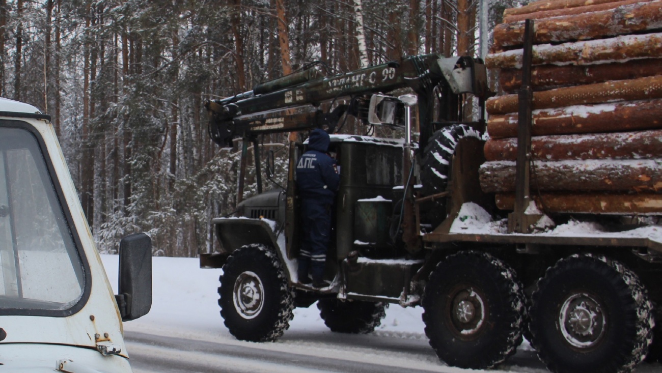 В Марий Эл проходят Единые дни безопасности дорожного движения