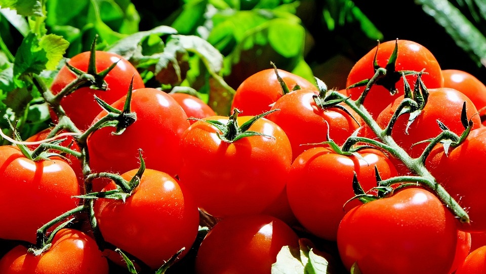 Прокуратура нашла в Волжске запрещенные турецкие помидоры