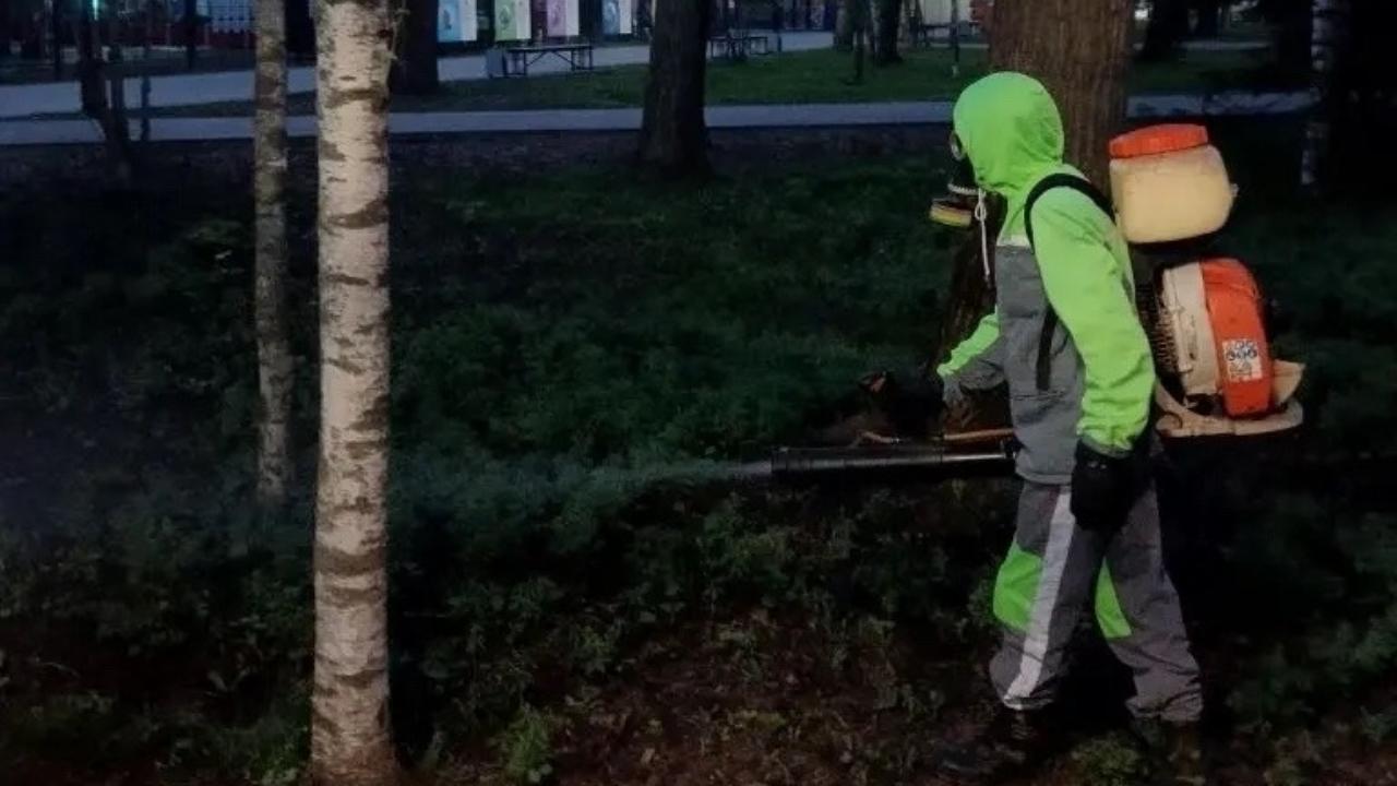 Центральный парк Йошкар-Олы обработали от клещей и грызунов